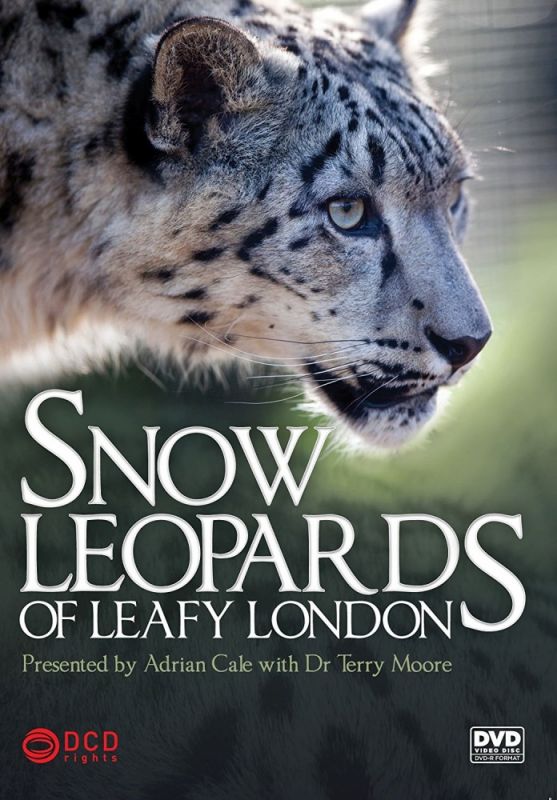 Snow Leopards of Leafy London