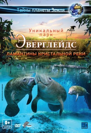 Эверглейдс 3D: Ламантины Кристальной реки