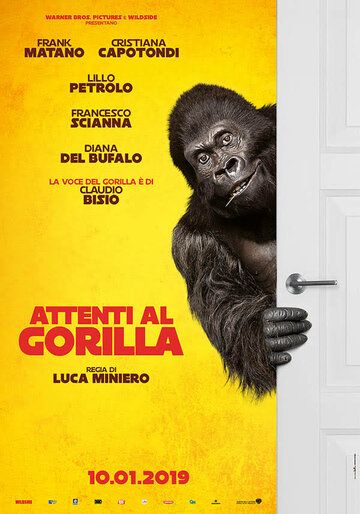 Attenti al gorilla